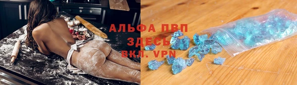 сатива Верея