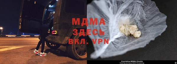 сатива Верея
