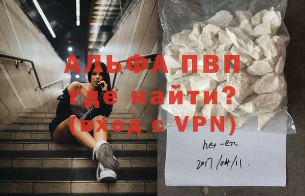 сатива Верея