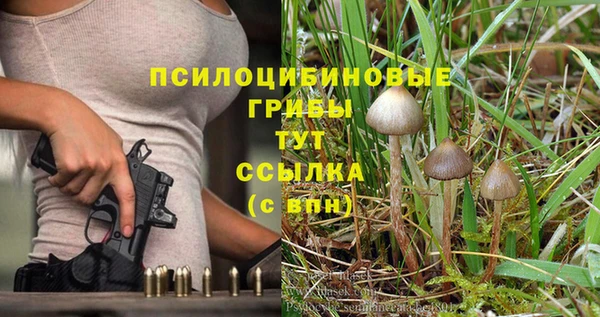 ALPHA PVP Верхний Тагил