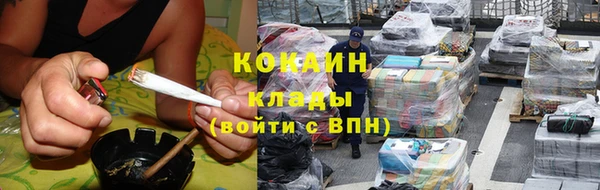 сатива Верея