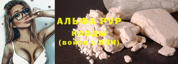 сатива Верея