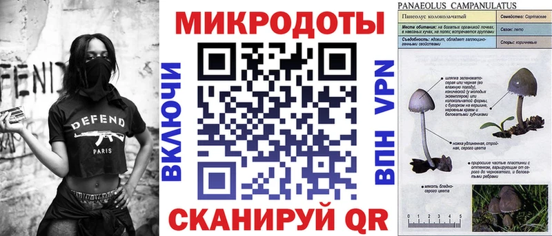 Псилоцибиновые грибы мицелий  даркнет наркотические препараты  Сургут 